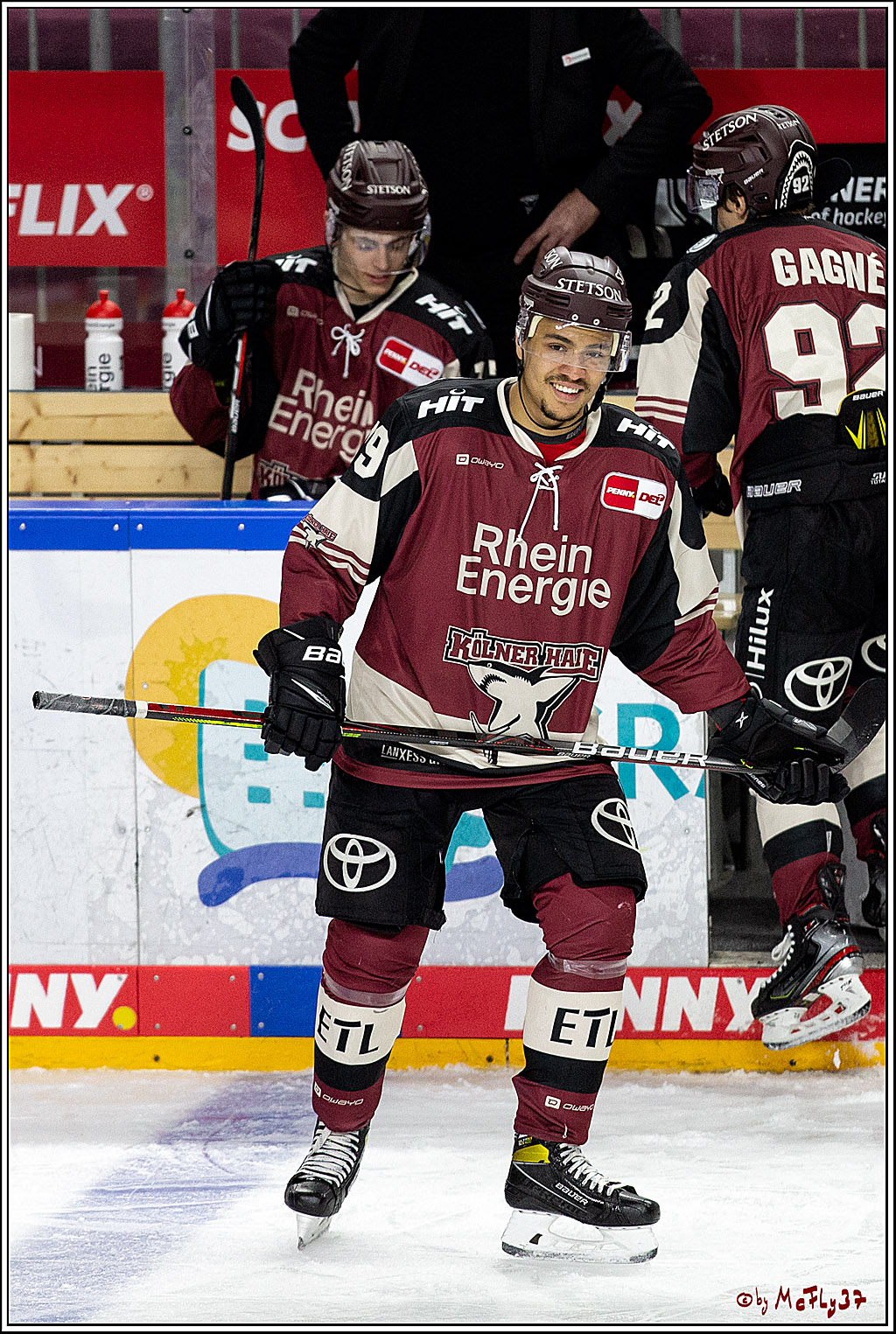 PENNY DEL;  Koelner Haie - Fischtown Pinguins Bremerhaven; Koeln, 12.02.2021